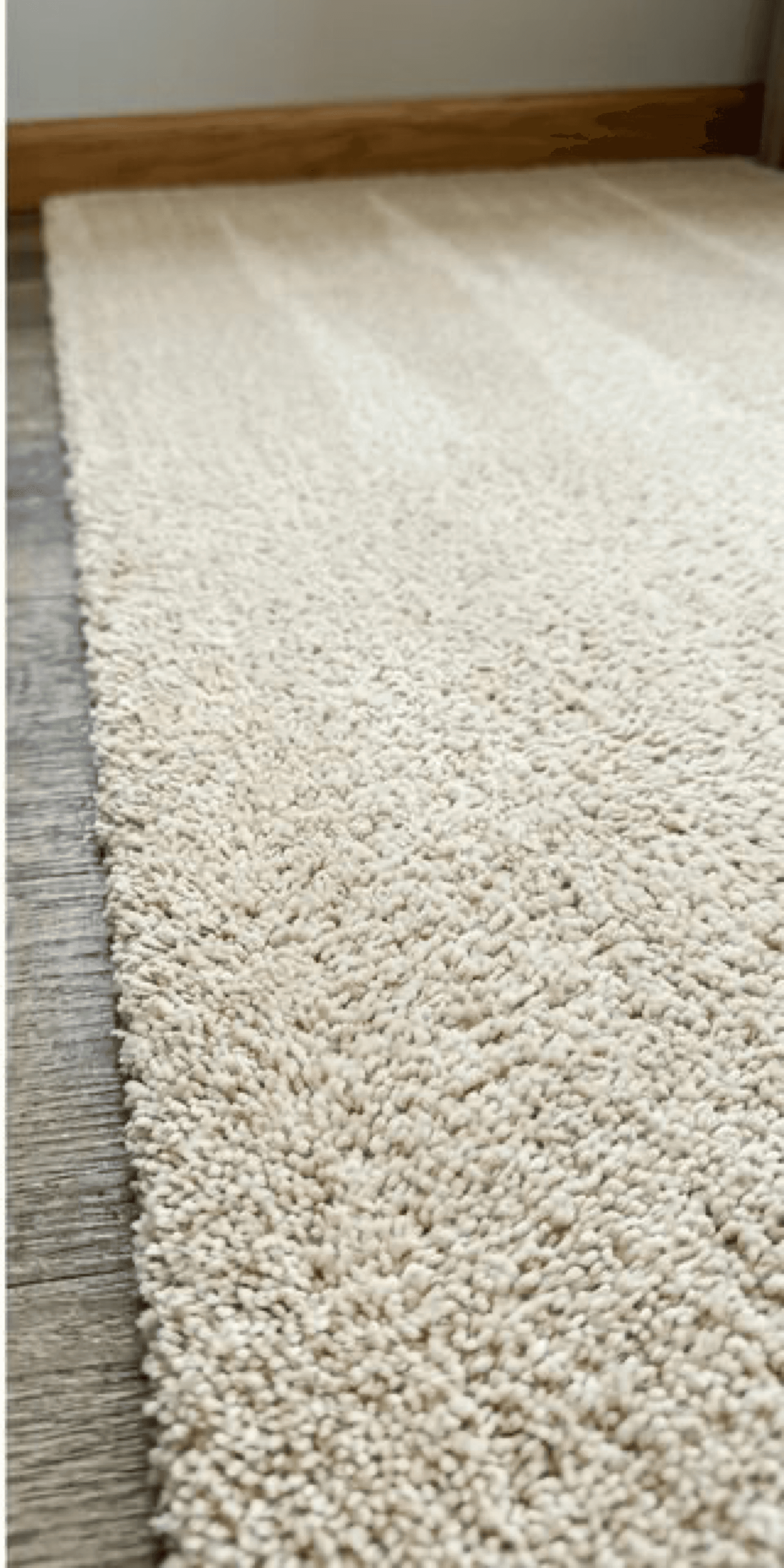 After Carpet Cleaning