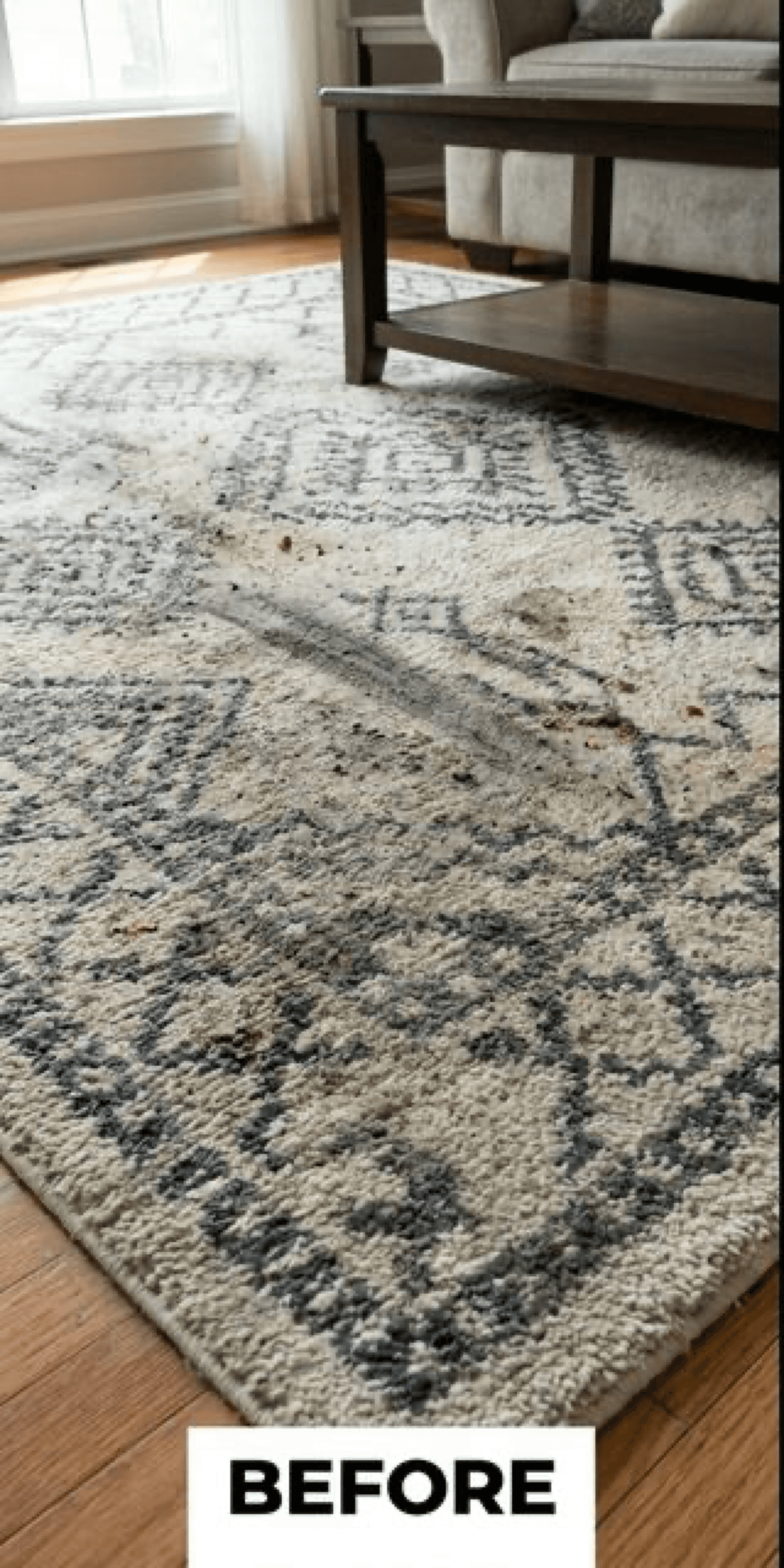 Before Area Rug Cleaning
