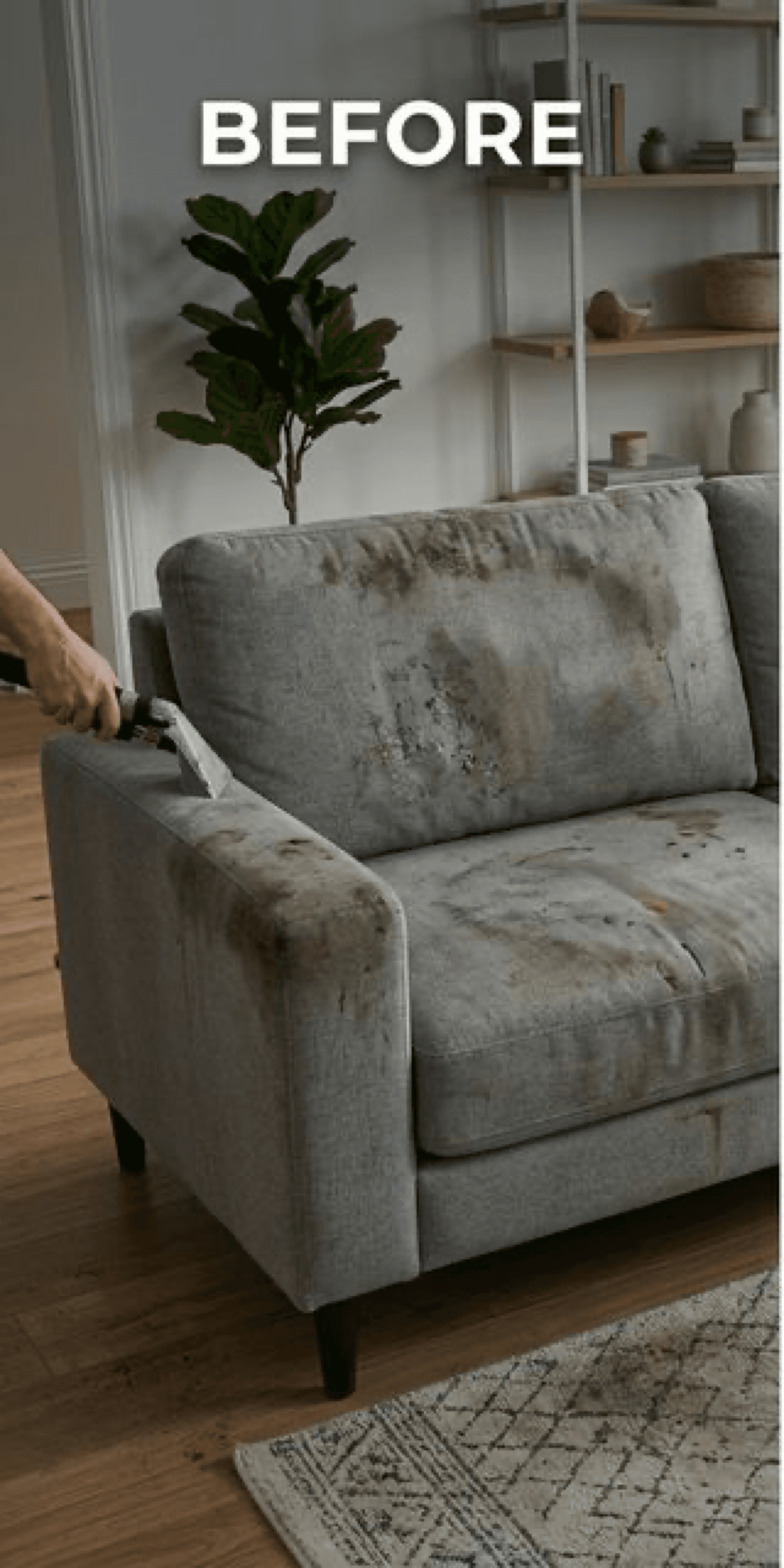 Before Upholstery Cleaning